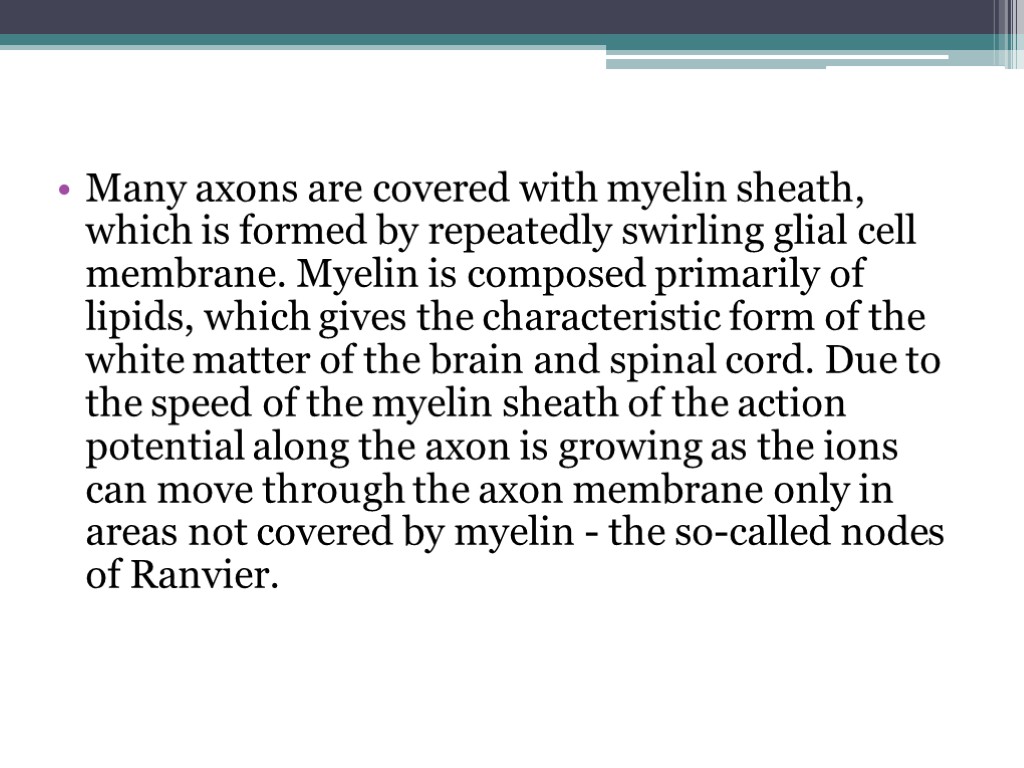 Many axons are covered with myelin sheath, which is formed by repeatedly swirling glial